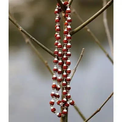 Original Silver Cap Indonesian Rudraksha Mala – image 4