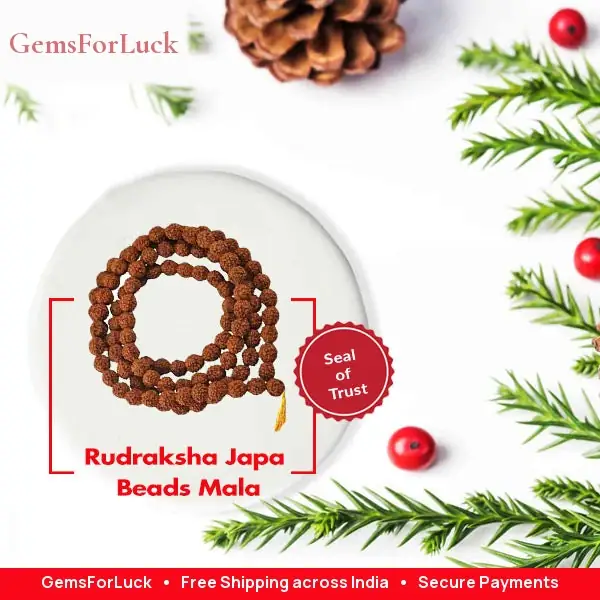 Rudraksha Japa Beads Mala – image 2