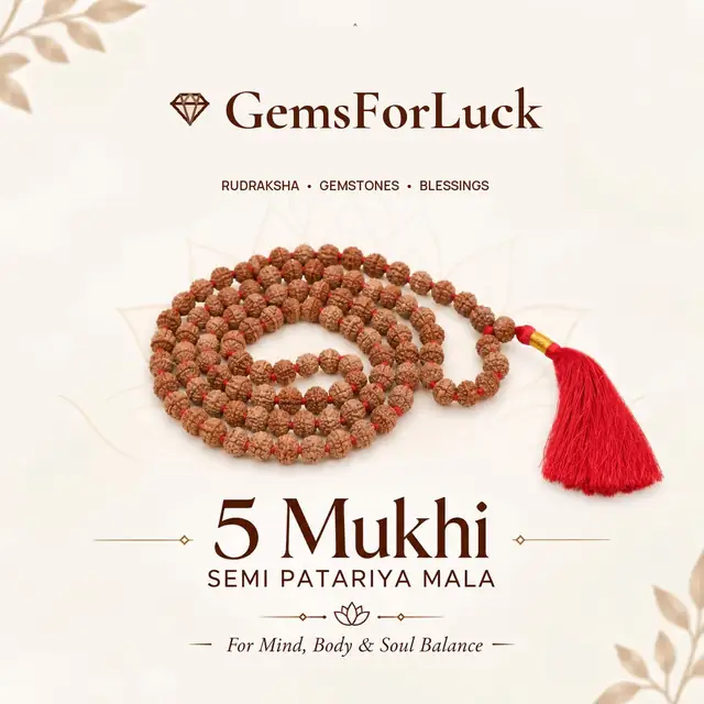 Rudraksha semi Pathariya Mala 108 Beads
