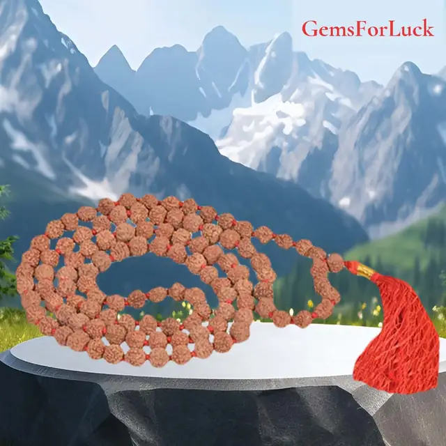 Rudraksha semi Pathariya Mala 108 Beads – image 2